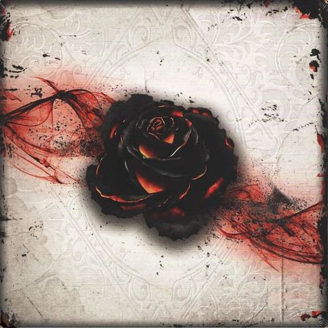 Black Rose Wars board game box front