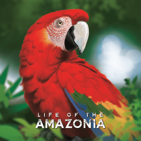 Life of the Amazonia board game box front