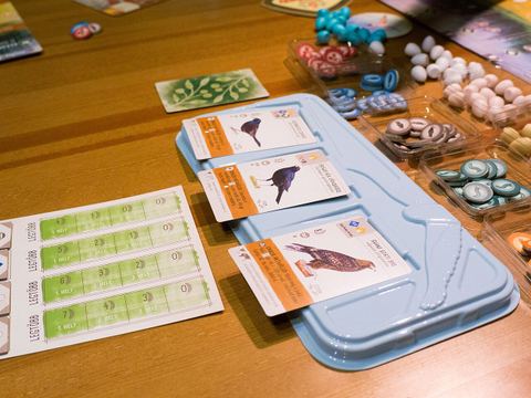 Cards in Wingspan hungarian version (Fesztáv)